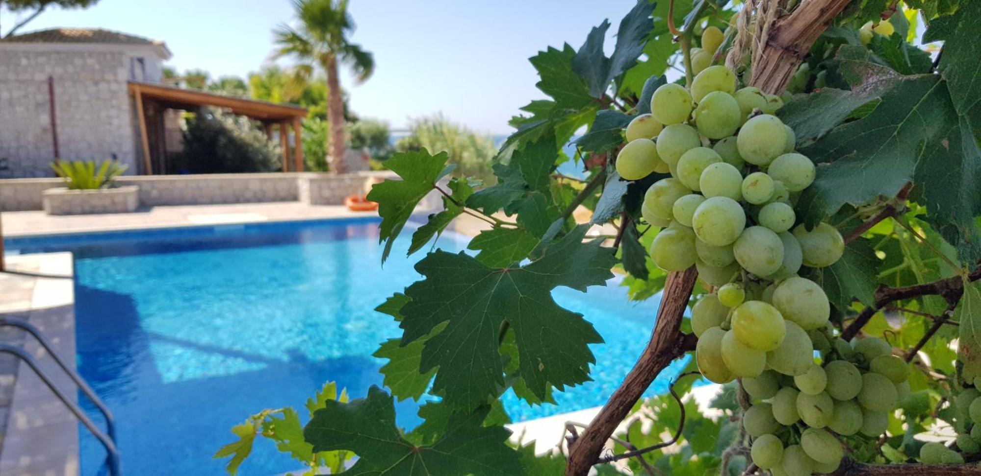 Villa Sealine Pefki Zimmer foto